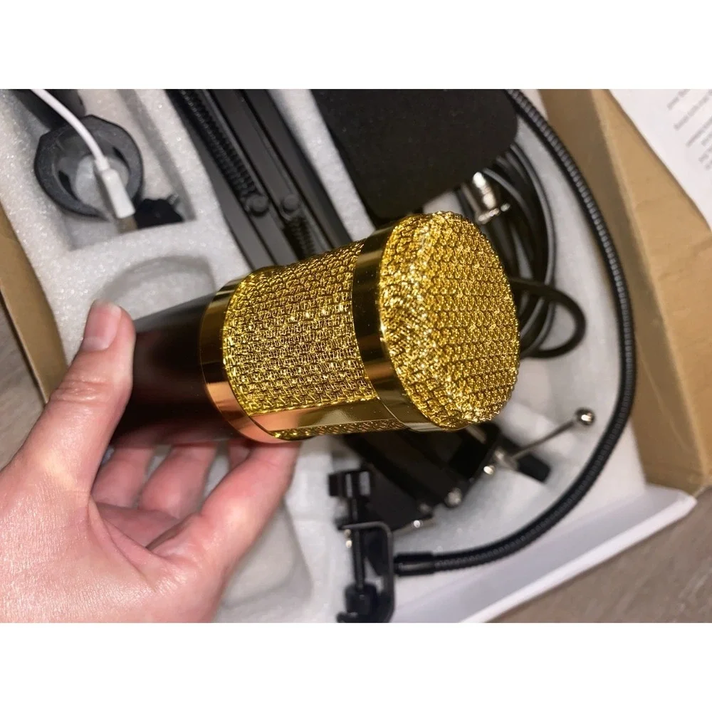 Professional Microphone for Broadcasting & Recording